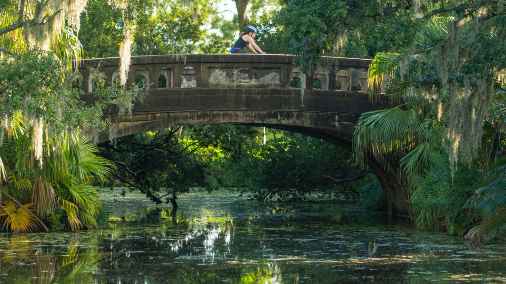 Big changes coming to City Park