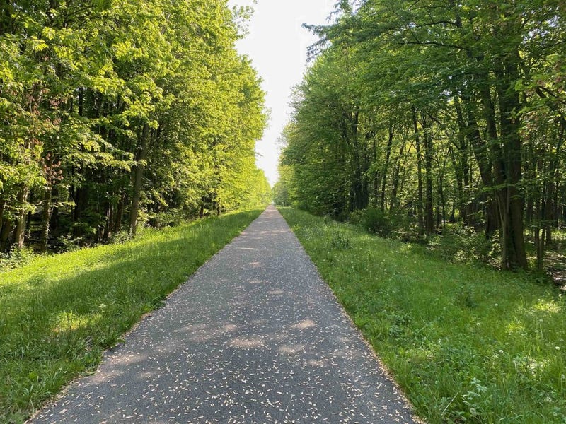 Clarence Bike Trail