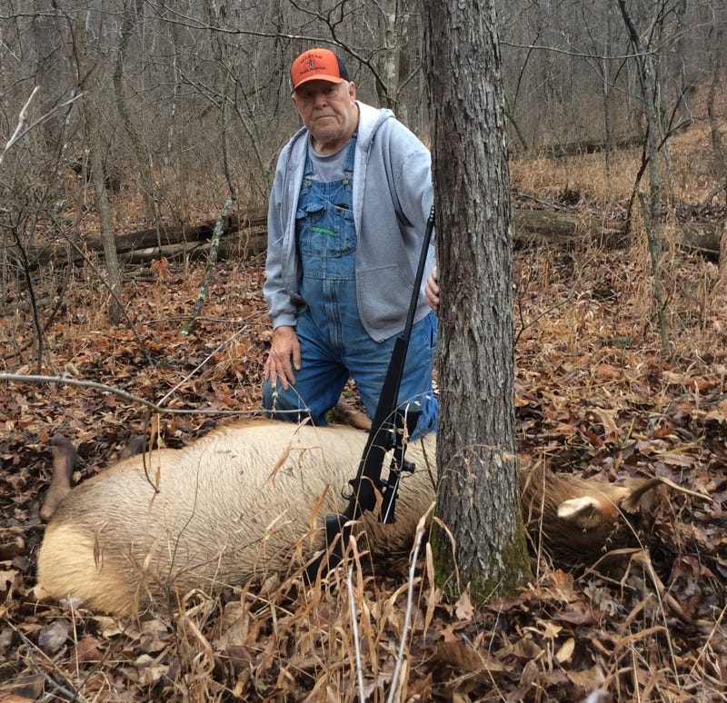 elk hunt