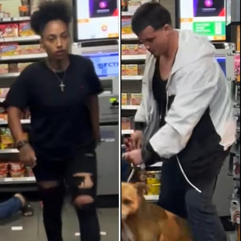 Police searching for this woman and man in connection to the dognapping in North Hollywood.