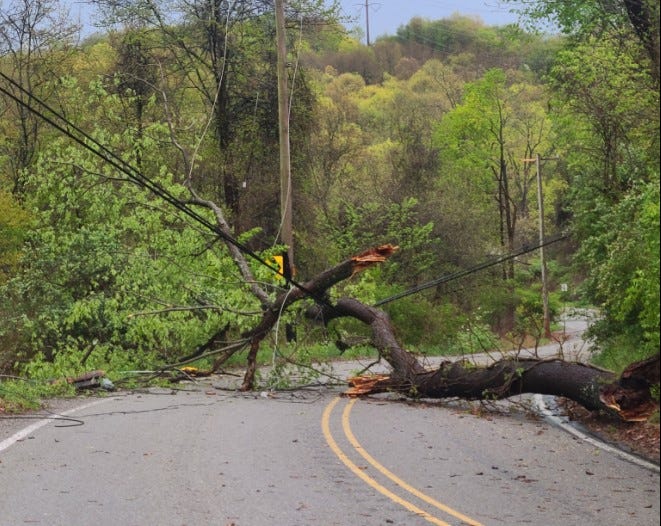 Wires down in Collier Township