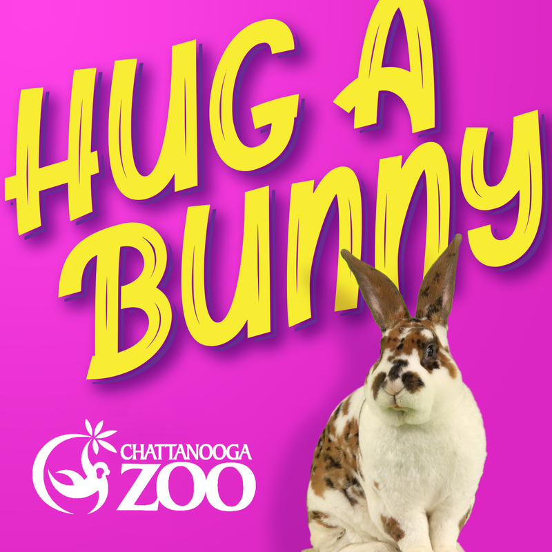 Hug a Bunny