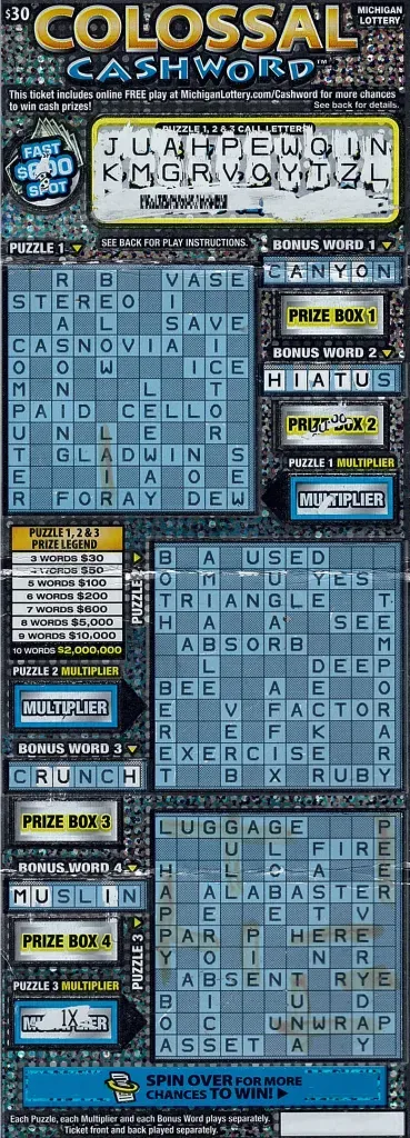 The winning ticket