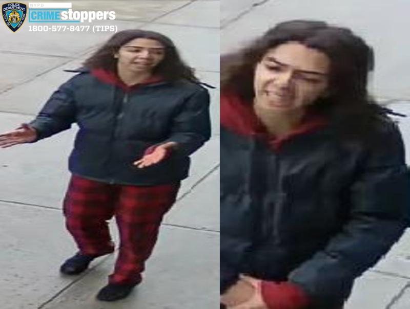 Police are searching for a woman in a Feb. 17 attack on two teens in East Harlem