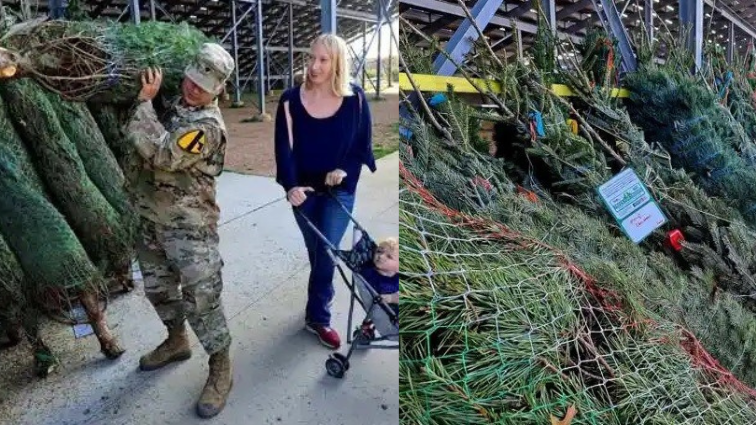 Trees for Troops deliver holiday joy