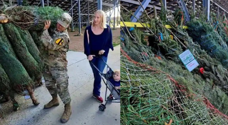 Trees for Troops deliver holiday joy