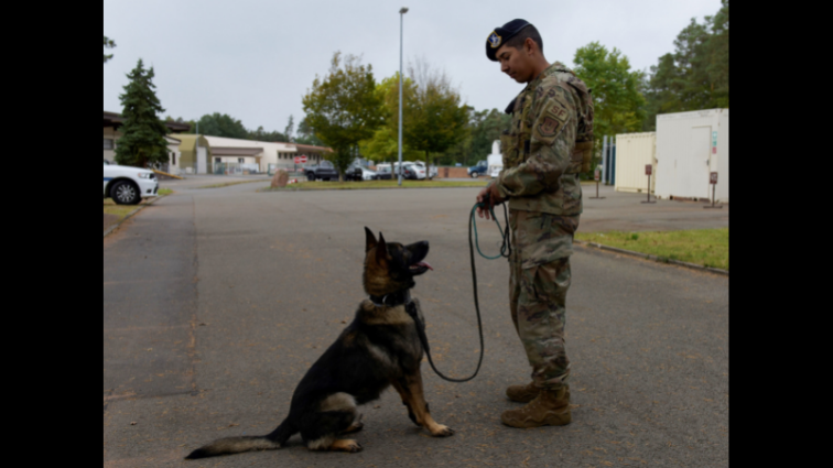 Upgraded kennel brings Military Working Dogs home