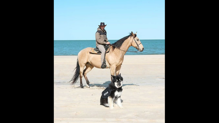 Vet rides across the country with horse and dog, raising money to open ranch