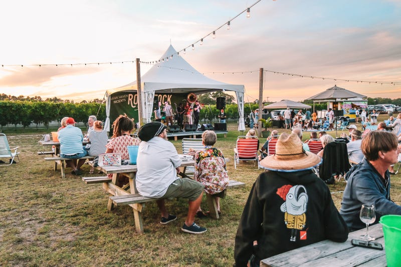 Vineyard Concert Series