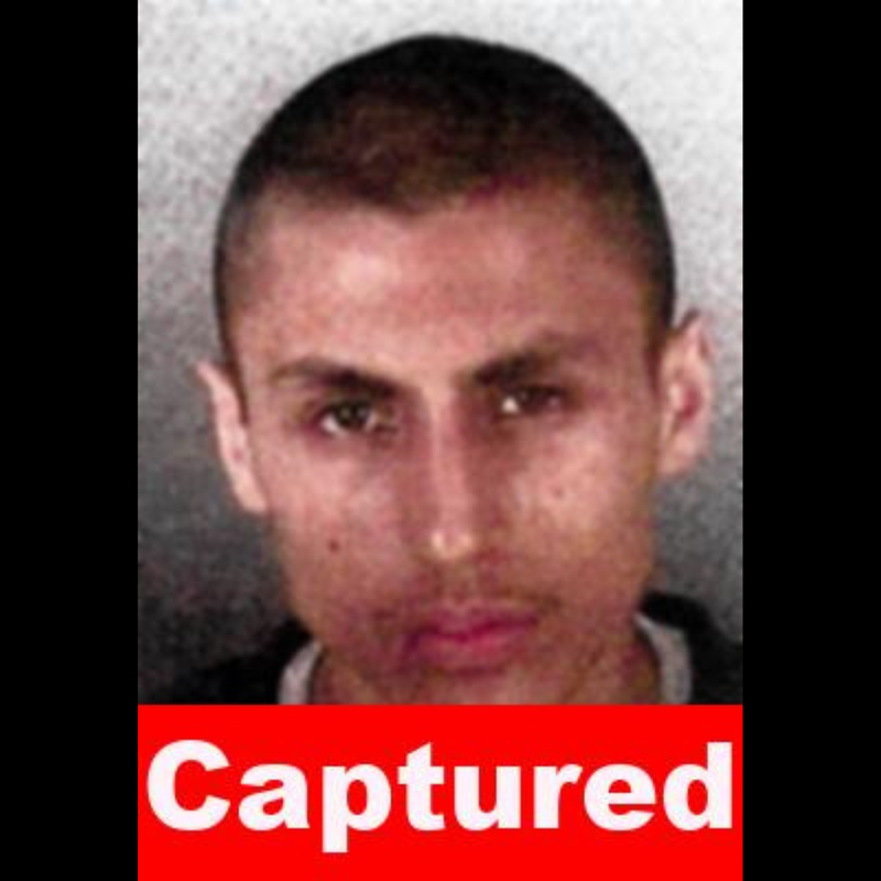 MOST WANTED