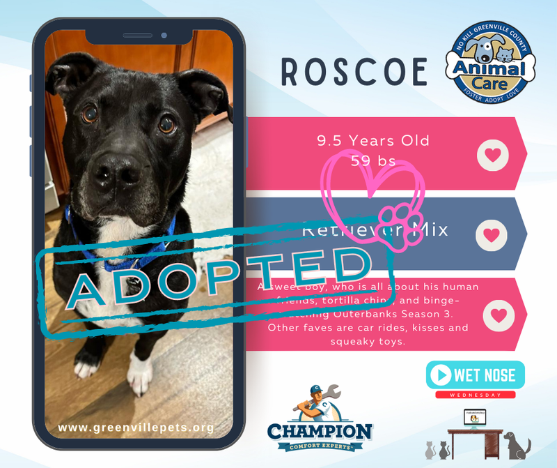 Meet Roscoe