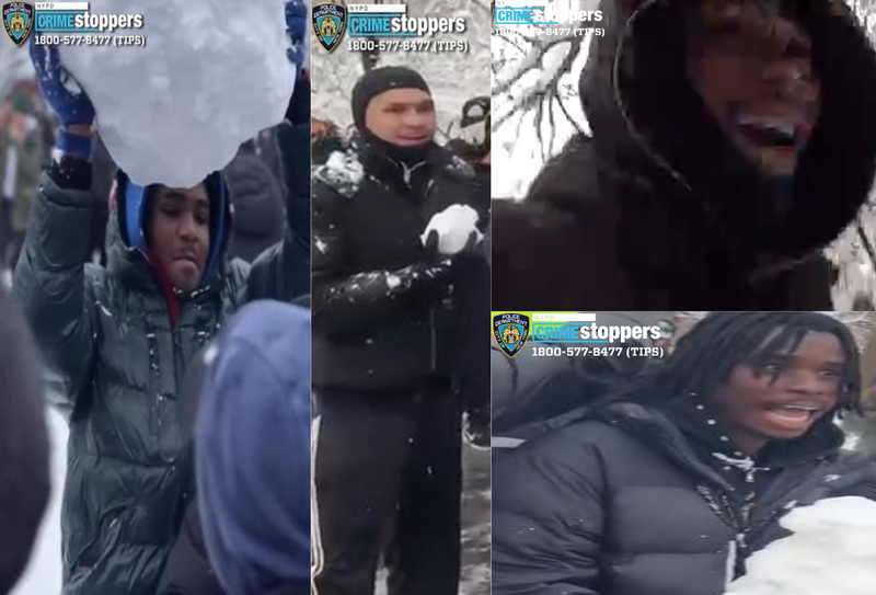 Police said they were searching for four people in connection with the injuries to officers