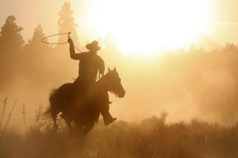 Cowboy
