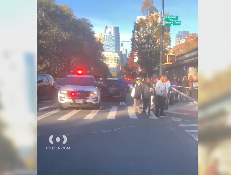 Video shows a crowd gathered north of Fort Greene Park