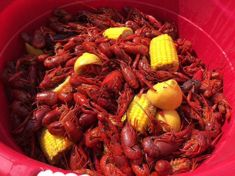 Crawfish
