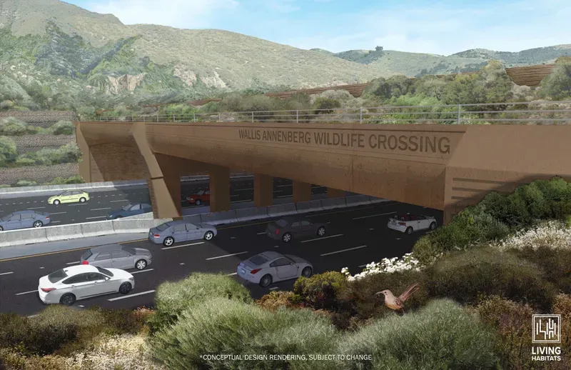 FILE - Concept photo of the Wallis Annenberg Wildlife Crossing. When completed, the bridge-like crossing will be the largest urban cross of its scale and extend 210 feet over 10 lanes of highway and pavement near Liberty Canyon in Agoura Hills, Calif.