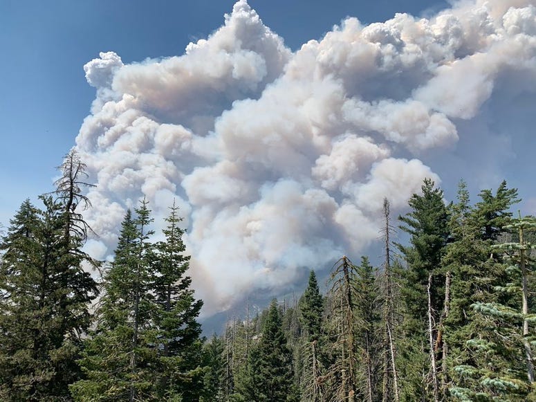 Creek Fire