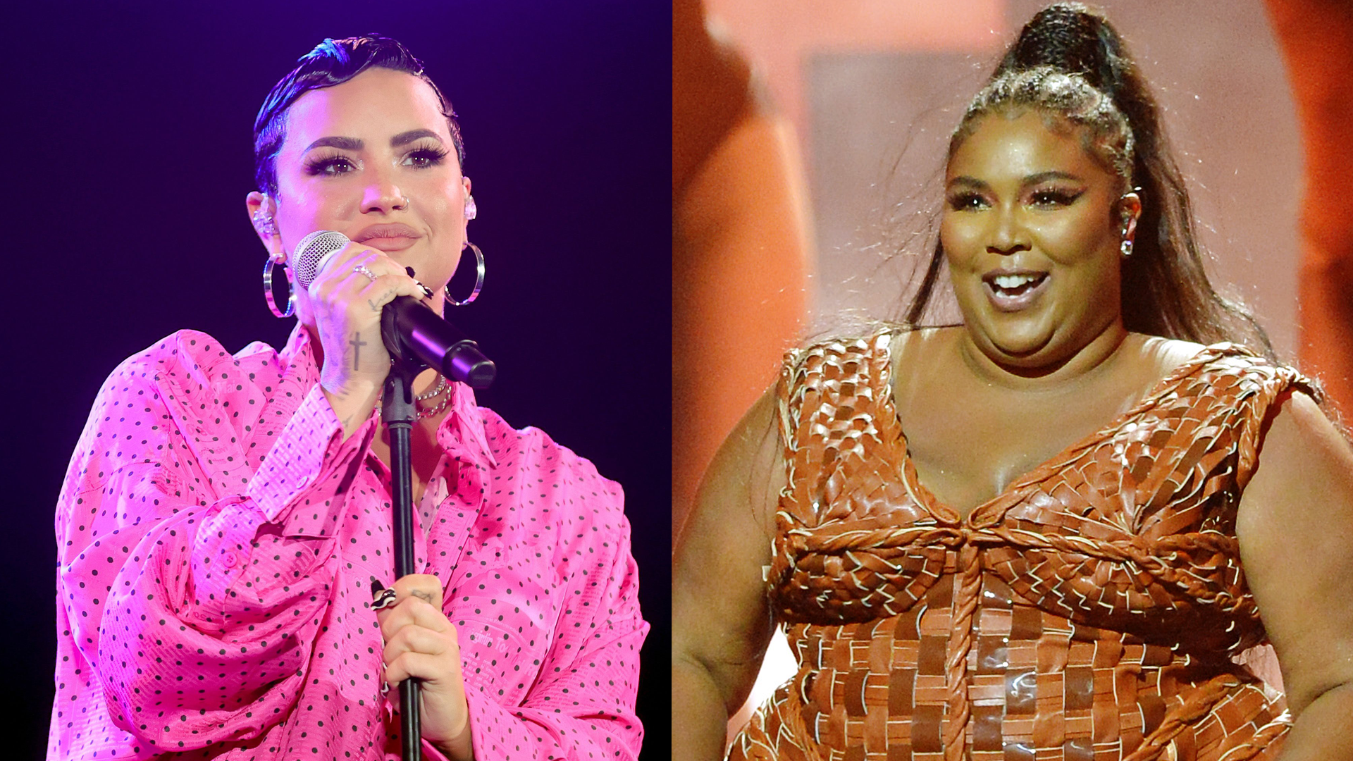 Demi Lovato calls Lizzo a 'f***ing queen' for defending pronouns