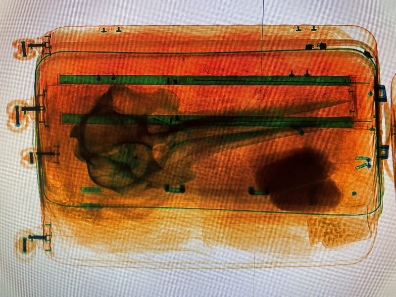 Finding prohibited items in luggage isn't a few story, but federal agents said they confiscated a rather unusual find after inspecting international baggage at Detroit Metropolitan Airport last week.