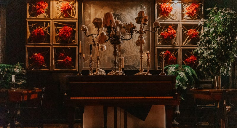 Haunted Dining in the Dark is an immersive experience that combines a gourmet three-course meal and a supernatural tale of horror all while in complete darkness.