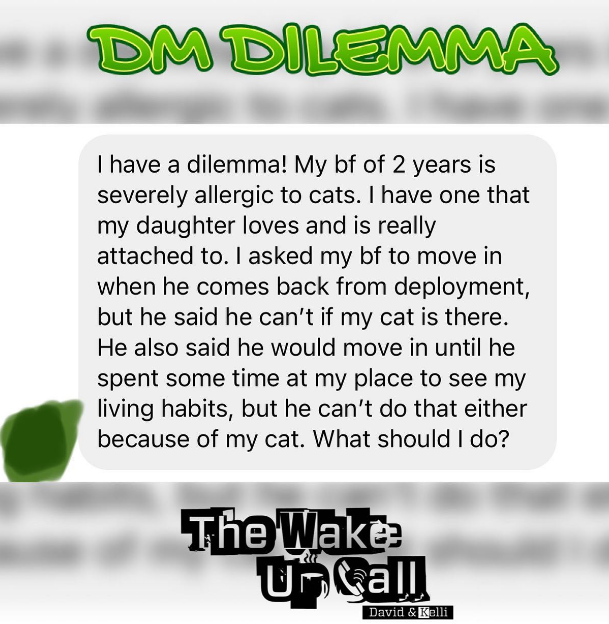 DM Dilemma: Cat or boyfriend?