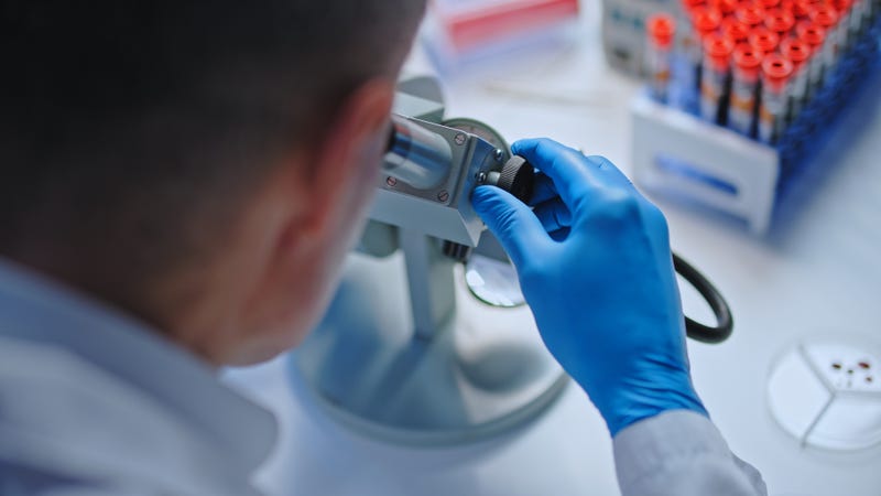 A forensic scientist looks at DNA samples in a lab.