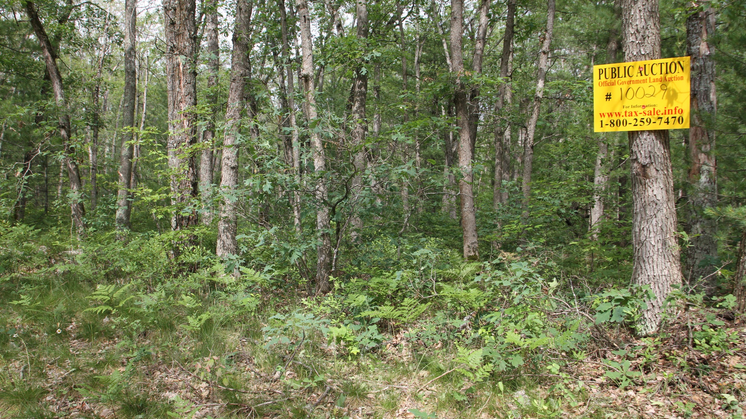 Michigan DNR offering nearly 100 properties in 14 online auctions
