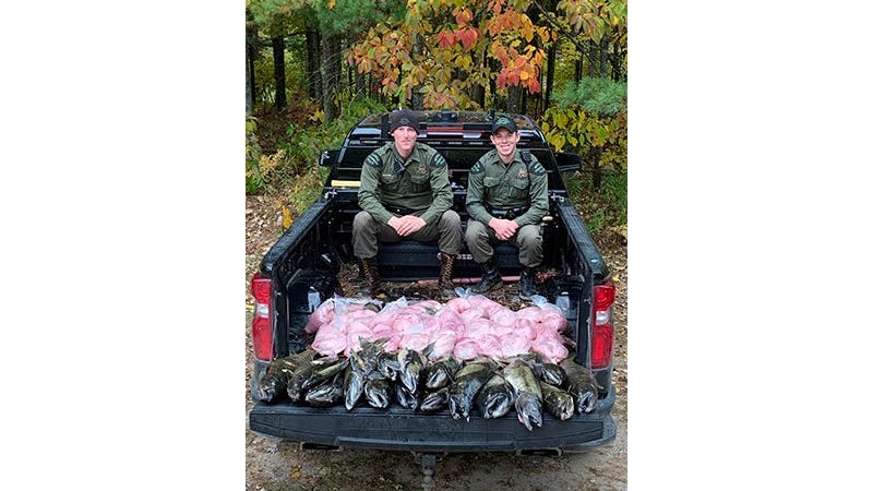 6 Colorado men ordered to pay over $1K each after coming to Michigan, illegally catching over 450 lbs. of fish