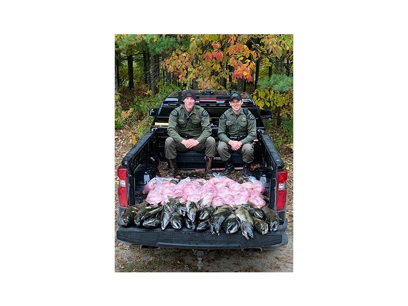 Conservation officers in truck bed with fish