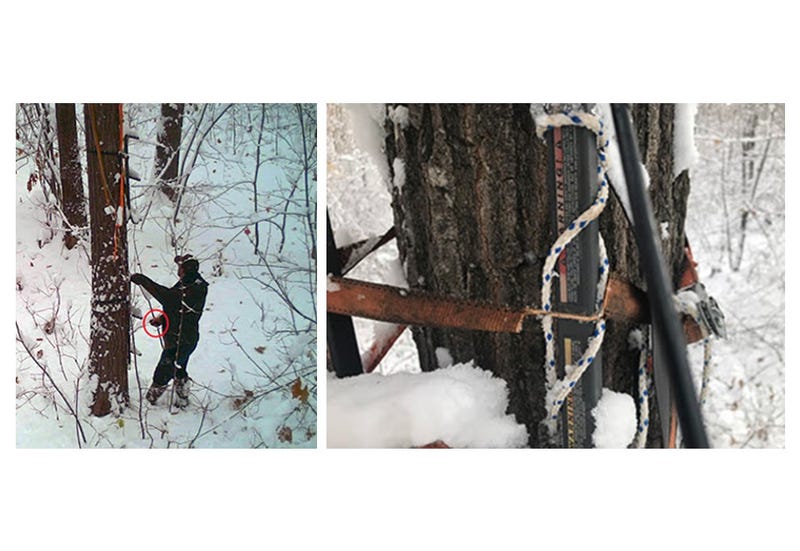 Hunter cutting tree stand, left, and damaged tree stand