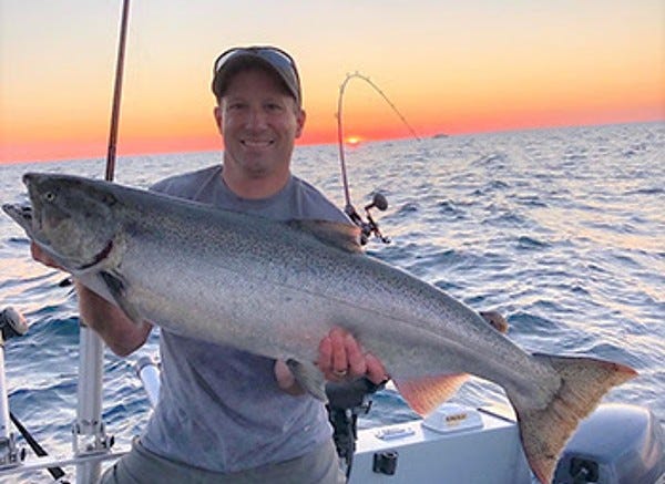 Chinook salmon in Lake Michigan
