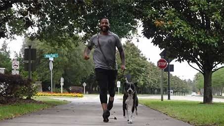 Burn pits legislation gets backing from VSOs, including K9s For Warriors