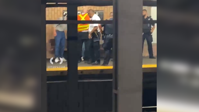 Loose dog on subway tracks prompts stoppage of 4,5,6 trains in Manhattan: MTA