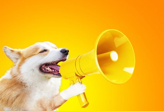dog barking with megaphone