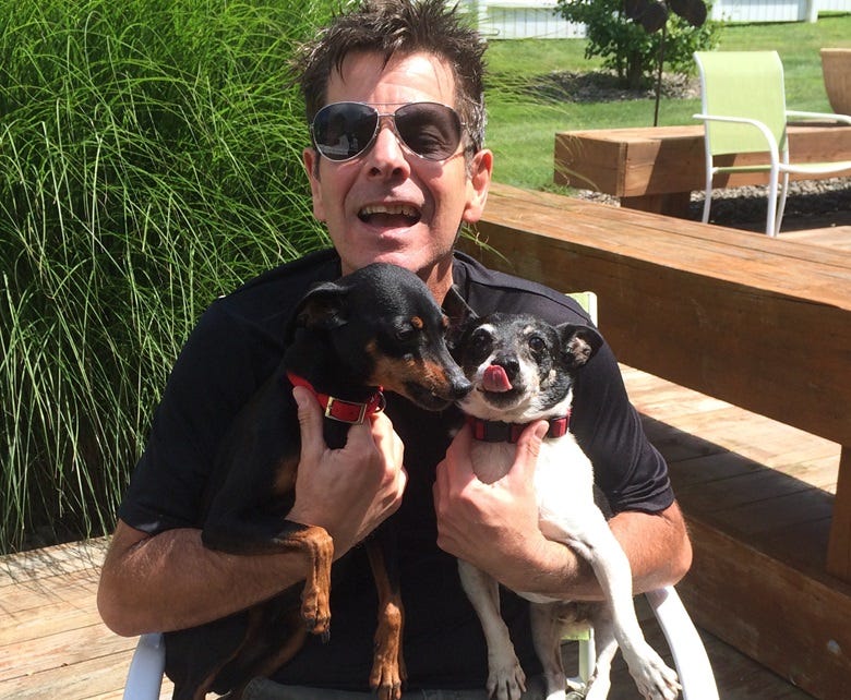Rocky & dogs