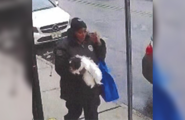 Suspect wanted for stealing a dog from the front yard of a Newark home