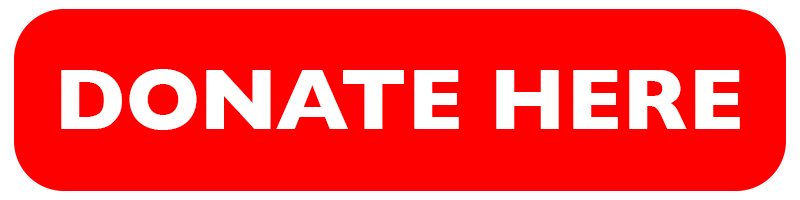 donate now