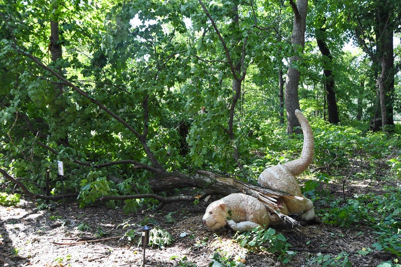 Brookfield Zoo storm damage