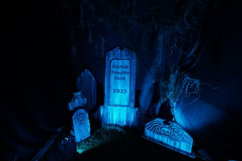Boo! That's a grave situation at the Cityside Pumpkin Patch.