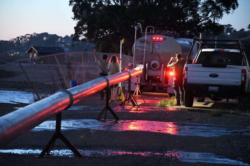 The salmon were released through long tubes.