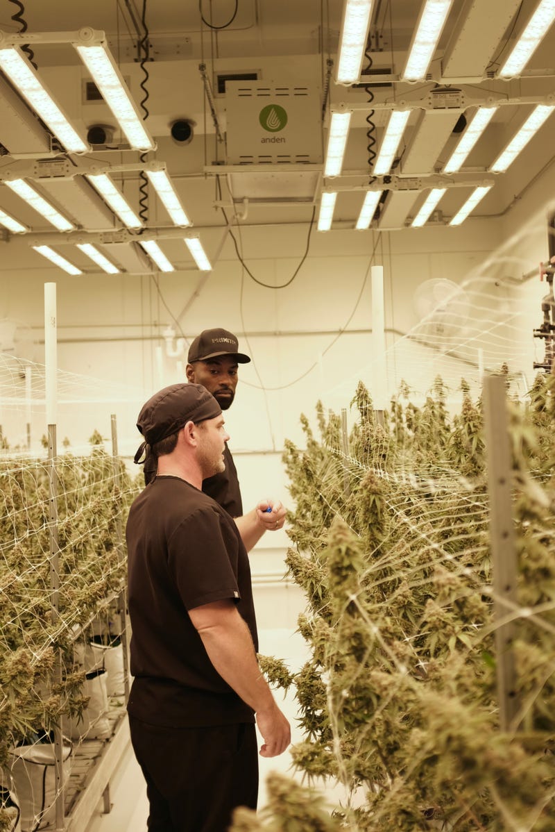 Calvin Johnson looks at cannabis plants with Primitiv employee