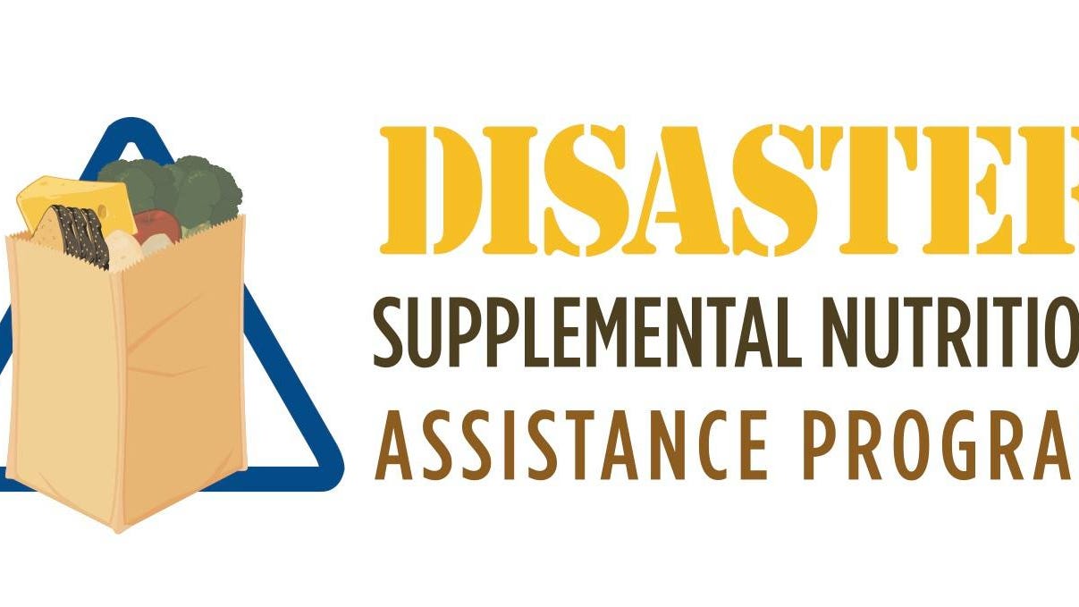 DSNAP for Ida recovery starts Sept. 20, here is how to apply