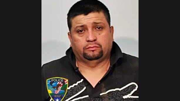 Detroit man who fled into woods after deadly Sumpter Township hit-and-run faces 7 felony charges