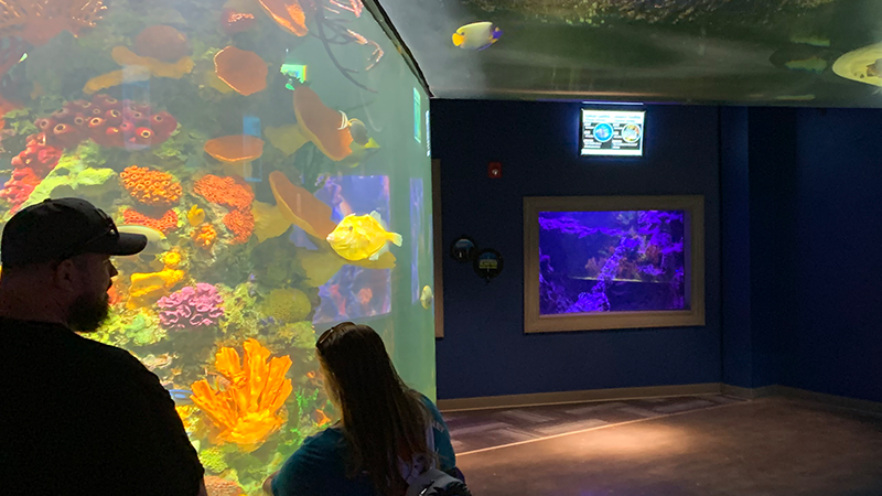 Daytona Aquarium & Rainforest Adventure