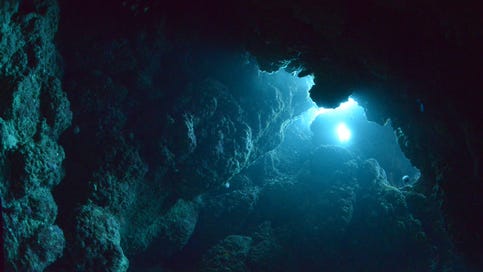 Scientists discover toothy 'top predator' in the deep sea