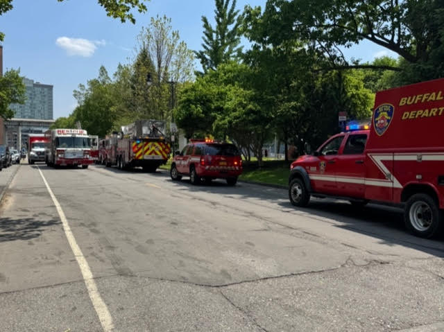 Firefighters pull a deer to safety near USS Croaker