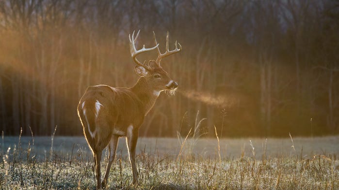 LA Wallet to carry hunting, fishing licenses starting Monday