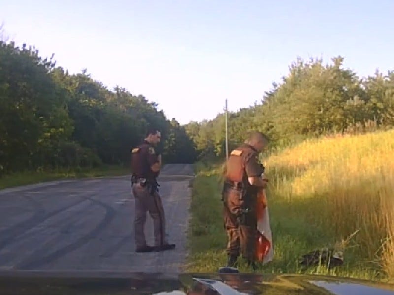 Dash camera footage shows deputies rescuing bald eagle