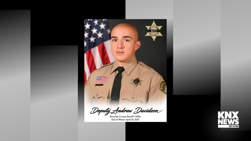 Deputy Andrew Davidson