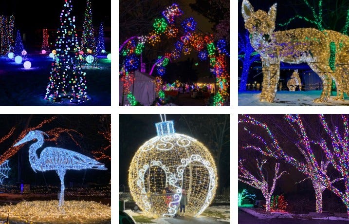 Wild Lights returns to Detroit Zoo for 2020